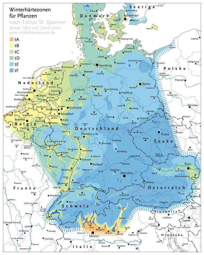 Winterhärtezonen von Zimmerpalmen